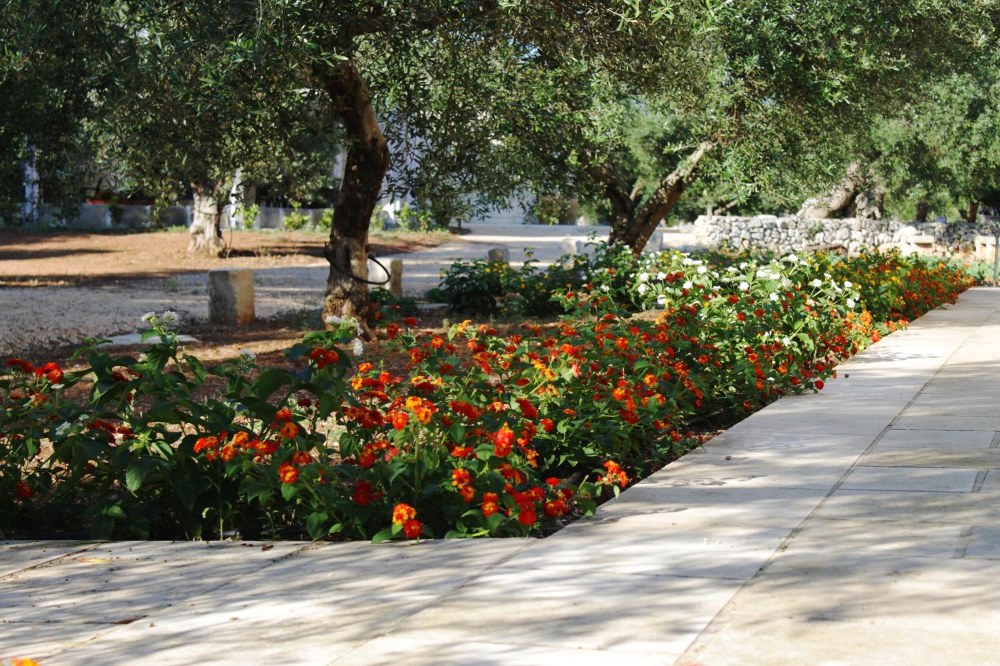 Tenuta Pigliano Hotel Bagnolo del Salento 外观 照片