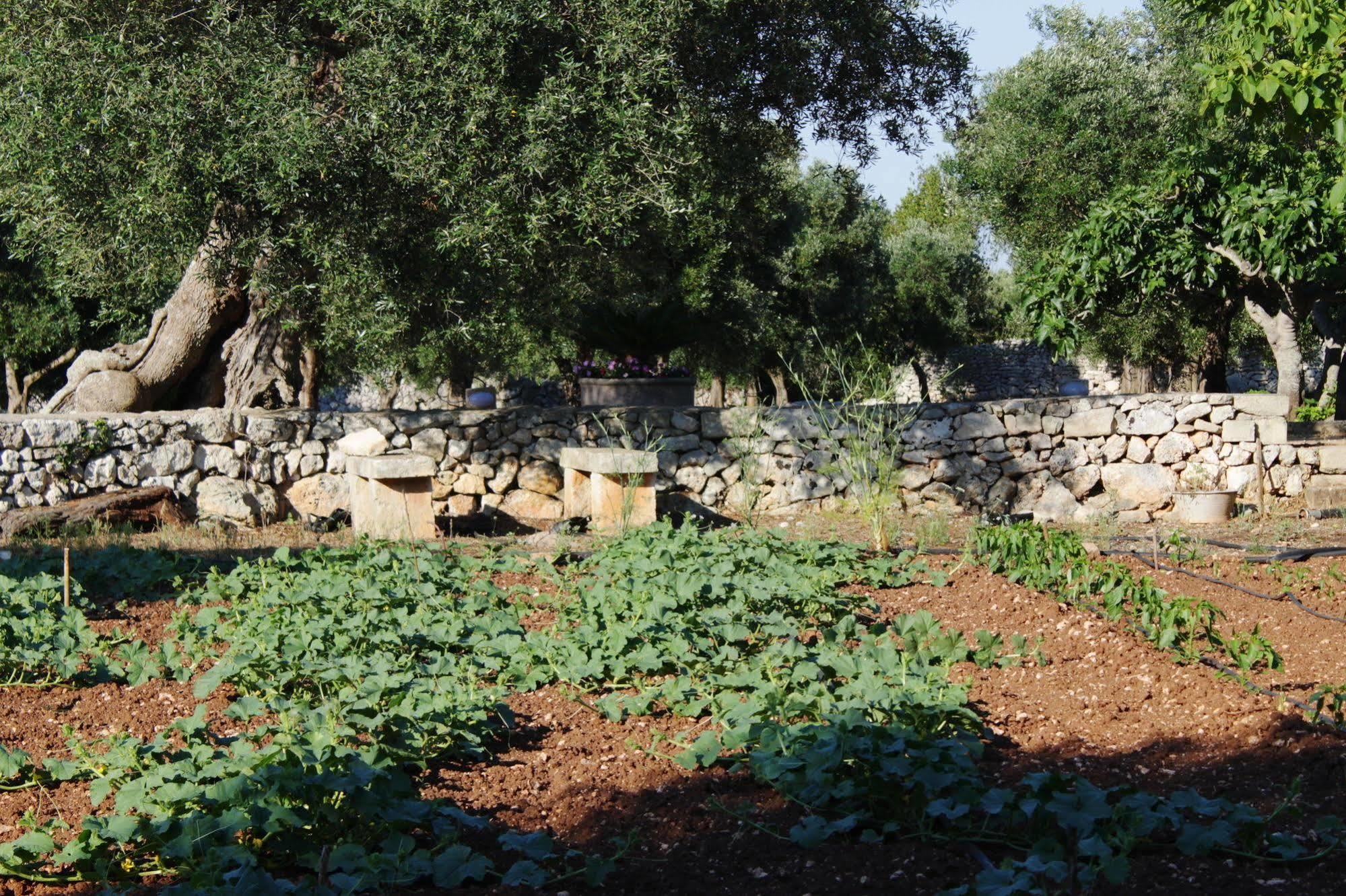 Tenuta Pigliano Hotel Bagnolo del Salento 外观 照片