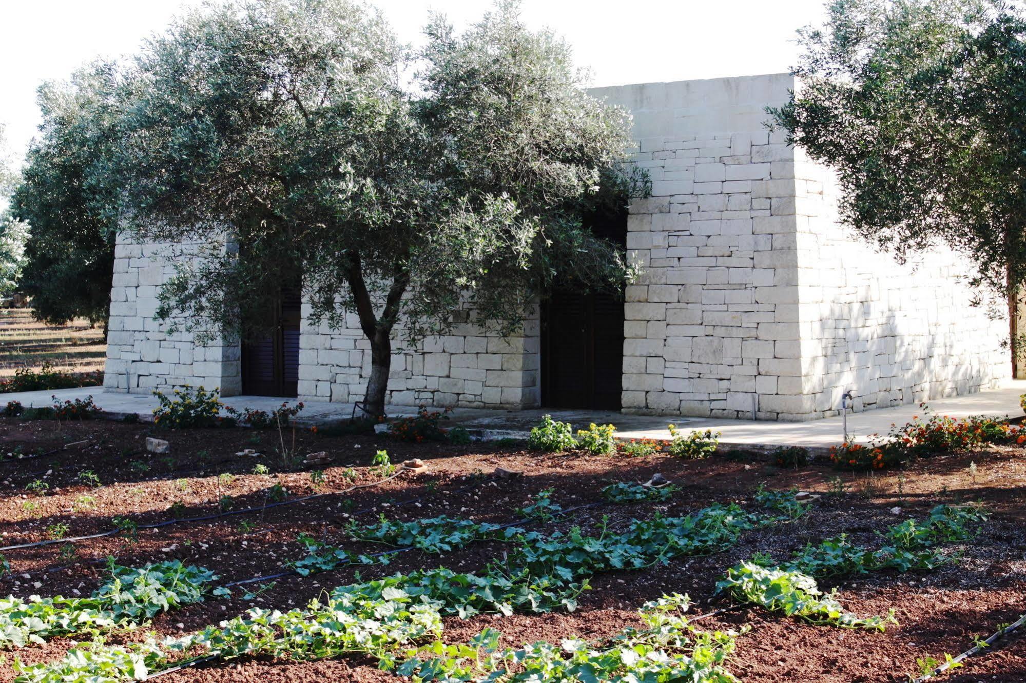 Tenuta Pigliano Hotel Bagnolo del Salento 外观 照片